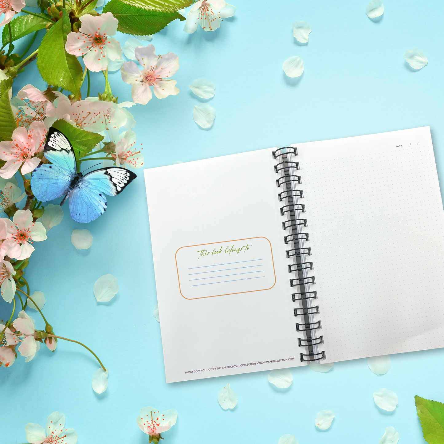 Spring Animals Journal