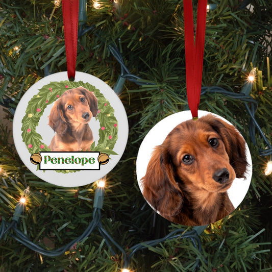 Painted Furry Friend Ornament