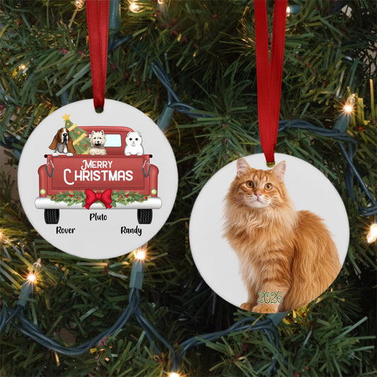 Getting the Tree with Pets Porcelain Ornament