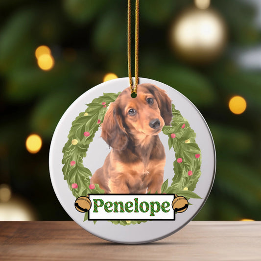 Painted Furry Friend Ornament