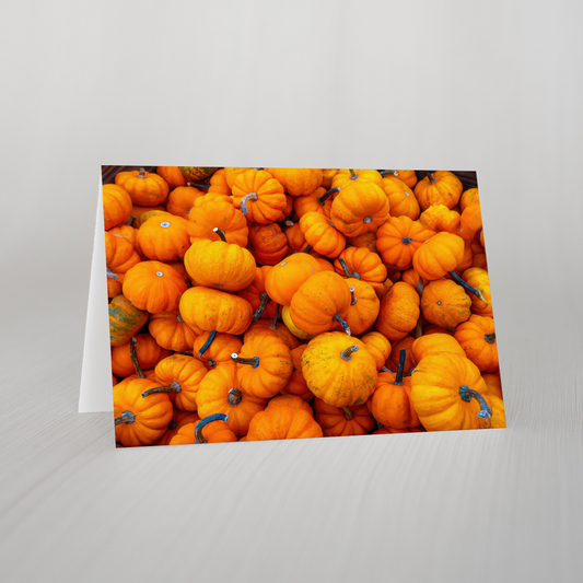 Pumpkins Blank Folded Card