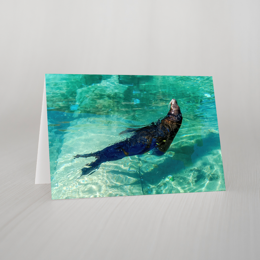 Seal Blank Folded Card