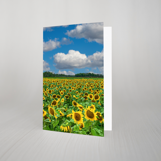 Sunflowers Blank Folded Card