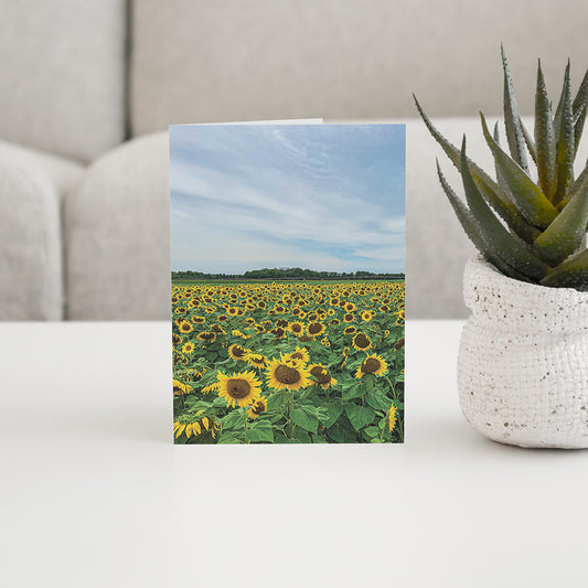 Sunflowers Blank Folded Card